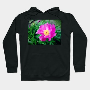 peony Hoodie